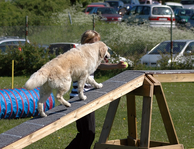 2006-06-10 (20).JPG - Uppvisning av Köpings Hundungdom
